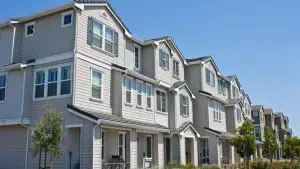 Windows and Siding